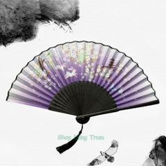 Quạt Cổ Trang Gắn Dây Tua Rua Loại Đẹp Nhiều Mẫu Họa Tiết DT380