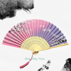 Quạt Cổ Trang Gắn Dây Tua Rua Loại Đẹp Nhiều Mẫu Họa Tiết DT380
