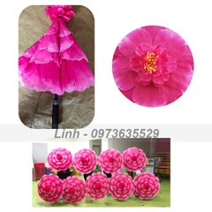 Ô Múa Mẫu Đơn, Ô Hoa Múa Biểu Diễn Siêu Đẹp