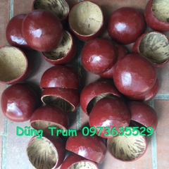 Gáo dừa múa biểu diễn, múa gáo dừa dân tộc Khmer