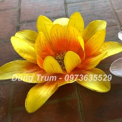 Hoa cúc múa 21 cánh phối màu siêu đẹp, nan sắt đàn hồi cực bền