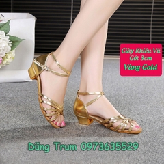 Giày khiêu vũ 3cm đế da lộn, giày nhảy Dancesport KV22