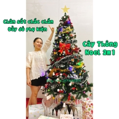 Cây Thông NOEL 2m1 Tán Rộng Đầy Đủ Phụ Kiện Trang Trí Giáng Sinh Ấm Áp