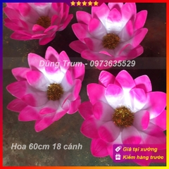 Hoa múa dưỡng sinh, hoa biểu diễn cầm tay mẫu 60cm 18 cánh siêu đẹp