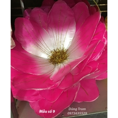 Hoa múa văn nghệ biểu diễn tổng hợp nhiều mẫu hoa siêu đẹp