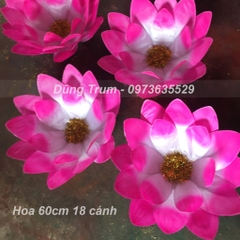 Hoa múa dưỡng sinh, hoa biểu diễn cầm tay mẫu 60cm 18 cánh siêu đẹp