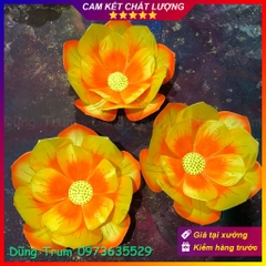 Hoa múa văn nghệ biểu diễn tổng hợp nhiều mẫu hoa siêu đẹp