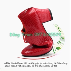 Giày khiêu vũ gót vuông cao 5cm đàn hồi êm ái hỗ trợ nhảy khiêu vũ cực tốt KV25