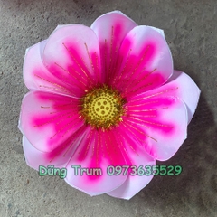 Hoa múa cầm tay biểu diễn văn nghệ siêu đẹp