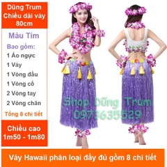 Trang phục đi biển lễ hội Hawai, trang phục biển hóa trang cho nhóm, đoàn công ty