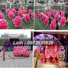 Ô Múa Mẫu Đơn, Ô Hoa Múa Biểu Diễn Siêu Đẹp