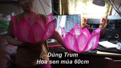 Hoa sen múa văn nghệ 60cm nan sắt dùng cực bền và đẹp kích cỡ 10 cánh