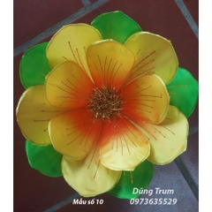 Hoa múa văn nghệ biểu diễn tổng hợp nhiều mẫu hoa siêu đẹp