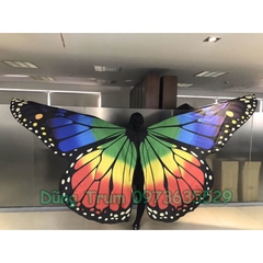 Cánh bướm múa Belly Dance siêu đẹp cho vũ đoàn nhóm nhảy