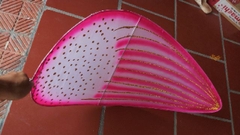 Cánh sen múa biểu diễn, đạo cụ cánh sen biểu diễn kích thước