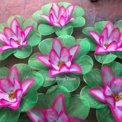 Hoa múa văn nghệ cầm tay biểu diễn kết hợp 2 màu siêu đẹp