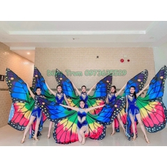 Cánh bướm múa Belly Dance siêu đẹp cho vũ đoàn nhóm nhảy