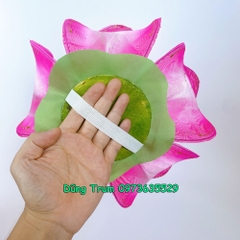 Hoa sen múa văn nghệ 60cm nan sắt dùng cực bền và đẹp kích cỡ 10 cánh