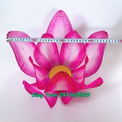 Hoa sen múa văn nghệ 60cm nan sắt dùng cực bền và đẹp kích cỡ 10 cánh