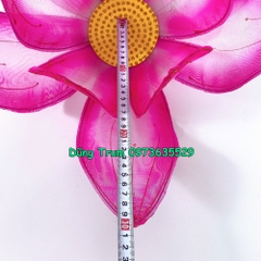 Hoa sen múa văn nghệ 60cm nan sắt dùng cực bền và đẹp kích cỡ 10 cánh
