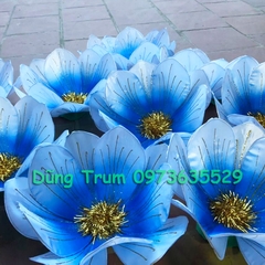 Hoa múa biểu diễn 40cm 10 cánh