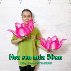 Hoa sen múa kích thước 50cm chất liệu bền đẹp