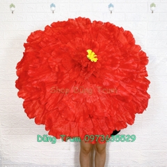 Ô Múa Mẫu Đơn, Ô Hoa Múa Biểu Diễn Siêu Đẹp