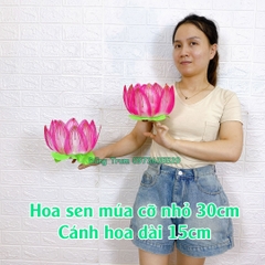 Hoa sen múa cỡ nhỏ 30cm cánh hoa dài 15cm chất liệu nan sắt bền đẹp