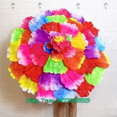 Ô Múa Mẫu Đơn, Ô Hoa Múa Biểu Diễn Siêu Đẹp