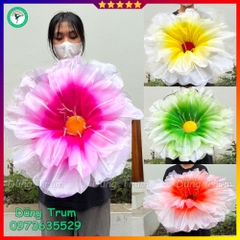 Hoa phù dung múa biểu diễn siêu đẹp, hoa múa phù dung kích thước 60cm