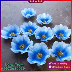 Hoa múa biểu diễn 40cm 10 cánh