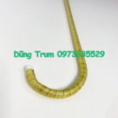 Gậy nhảy Jazz biểu diễn, gậy đạo cụ nhảy siêu đẹp (150k/5 cái)