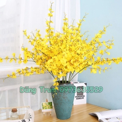 Hoa Lan Vũ Nữ Trang Trí Gồm 5 Nhánh Dài 1m Đủ Màu Sắc