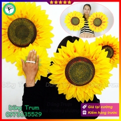 Hoa hướng dương 5 lớp cánh múa văn nghệ biểu diễn đủ kích cỡ