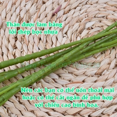 Hoa Lan Vũ Nữ Trang Trí Gồm 5 Nhánh Dài 1m Đủ Màu Sắc