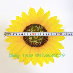 Hoa hướng dương múa đường kính 22cm cho các bé mầm non tiểu học (1 bông)