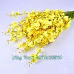 Hoa Lan Vũ Nữ Trang Trí Gồm 5 Nhánh Dài 1m Đủ Màu Sắc