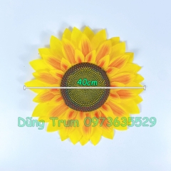 Hoa hướng dương 5 lớp cánh múa văn nghệ biểu diễn đủ kích cỡ