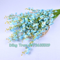 Hoa Lan Vũ Nữ Trang Trí Gồm 5 Nhánh Dài 1m Đủ Màu Sắc