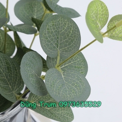 Cành lá đơn trang trí nội thất, lá bạch đàn trang trí văn phòng decor sự kiện