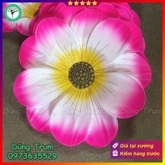 Hoa hồng 3D múa biểu diễn chất liệu nan sắt đàn hồi có chun cầm dưới đế hoa