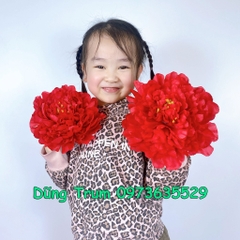 Hoa múa mẫu đơn 18cm cho các bé mầm non tiểu học