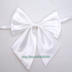 Nơ đeo cổ nữ sinh viên học sinh công cở có khóa cài sẵn phong cách Nhật Bản