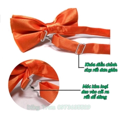 Nơ bê lễ bê tráp, nơ kỷ yếu chụp ảnh quay phim siêu đẹp