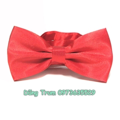 Nơ bê lễ bê tráp, nơ kỷ yếu chụp ảnh quay phim siêu đẹp