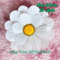 Hoa múa cầm tay loại 60cm 18 cánh to đẹp