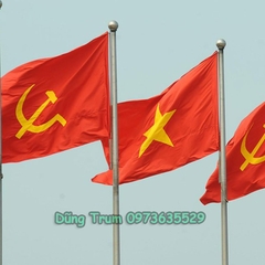 Cờ Đảng vải Sa Tanh chịu nắng mưa tốt đầy đủ kích thước