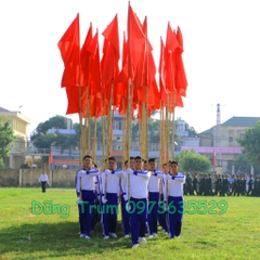 Cờ Hồng Kỳ vải Satanh chịu mưa nắng tốt kích thước chuẩn