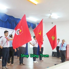Cờ Đoàn Thanh Niên cờ Đoàn Đội vải Satanh bền đẹp kích thước chuẩn