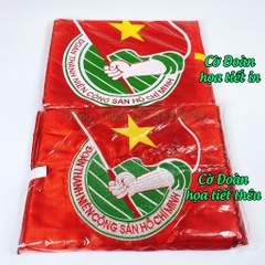 Cờ Đoàn Thanh Niên cờ Đoàn Đội vải Satanh bền đẹp kích thước chuẩn